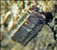 /album/galerie-photos/graoueres-p1-tourmaline-5326-mod2-jpg1/